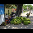 An diesem Stand versorgten wir uns mit dem Fruchtfleisch des Jackfruchtbaums
